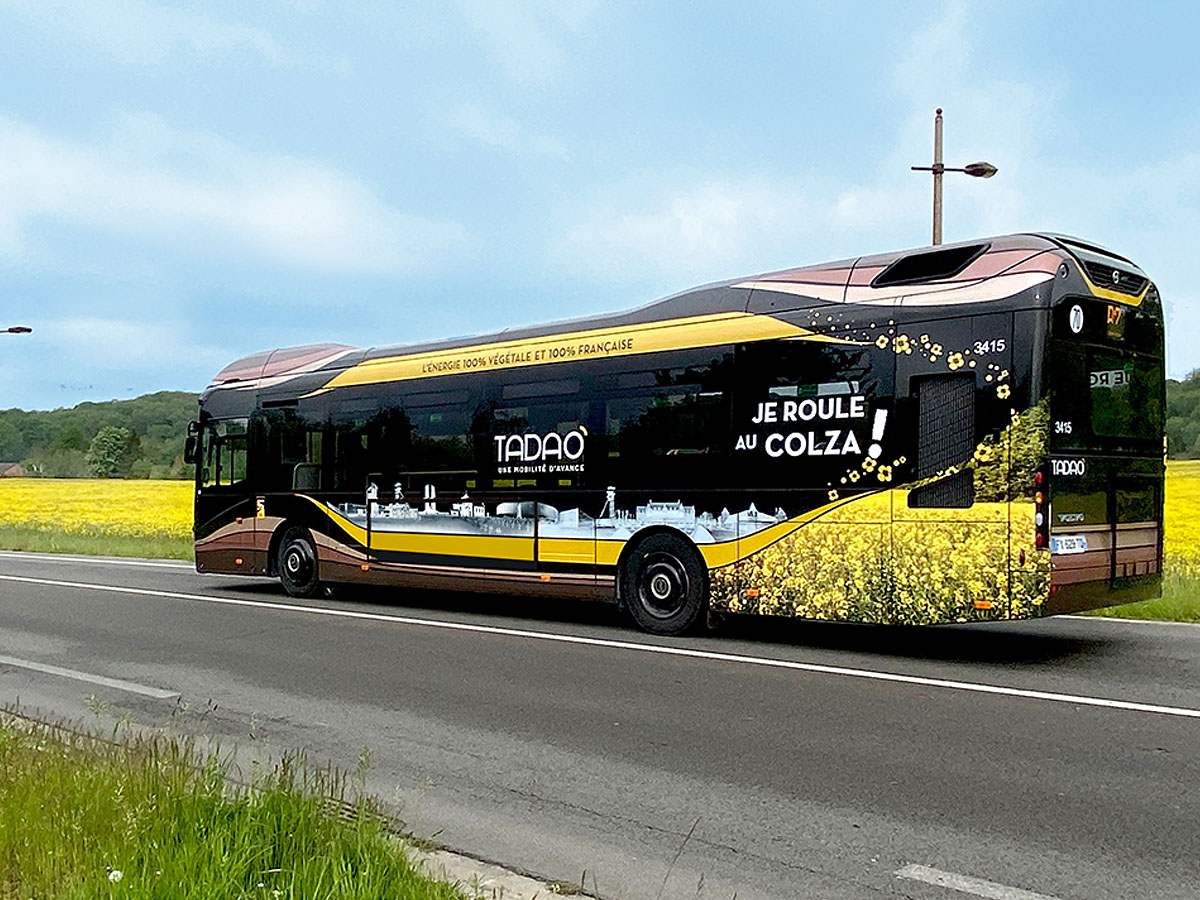 Bus Tadao