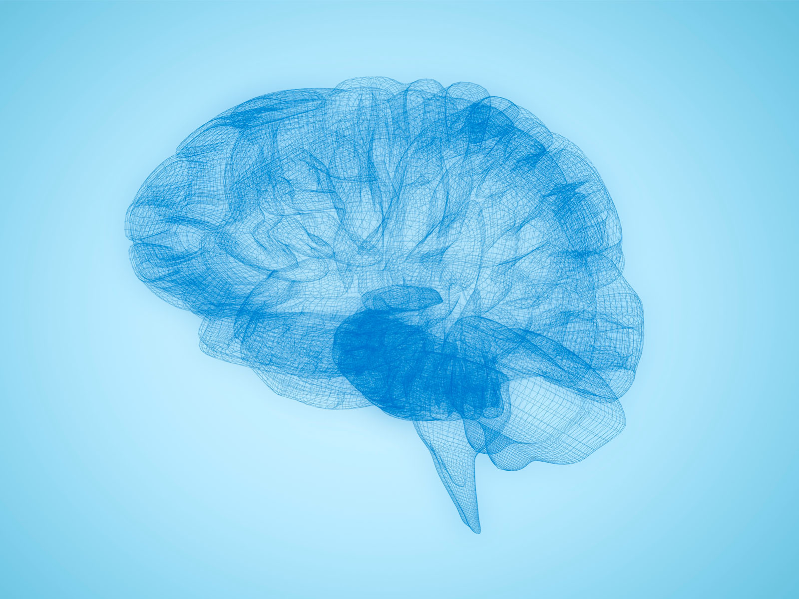 Image 3D du cerveau