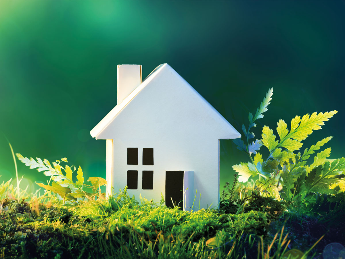 Maquette d'une maison dans la nature